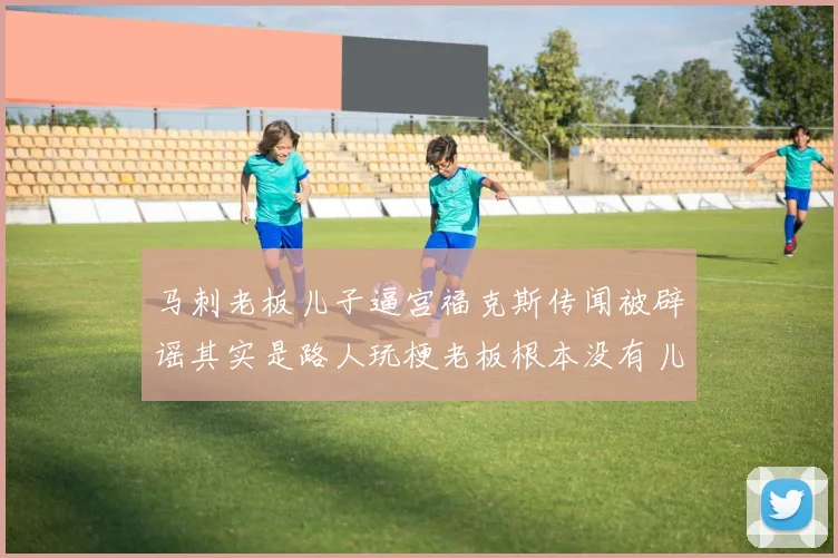 马刺老板儿子逼宫福克斯传闻被辟谣其实是路人玩梗老板根本没有儿子